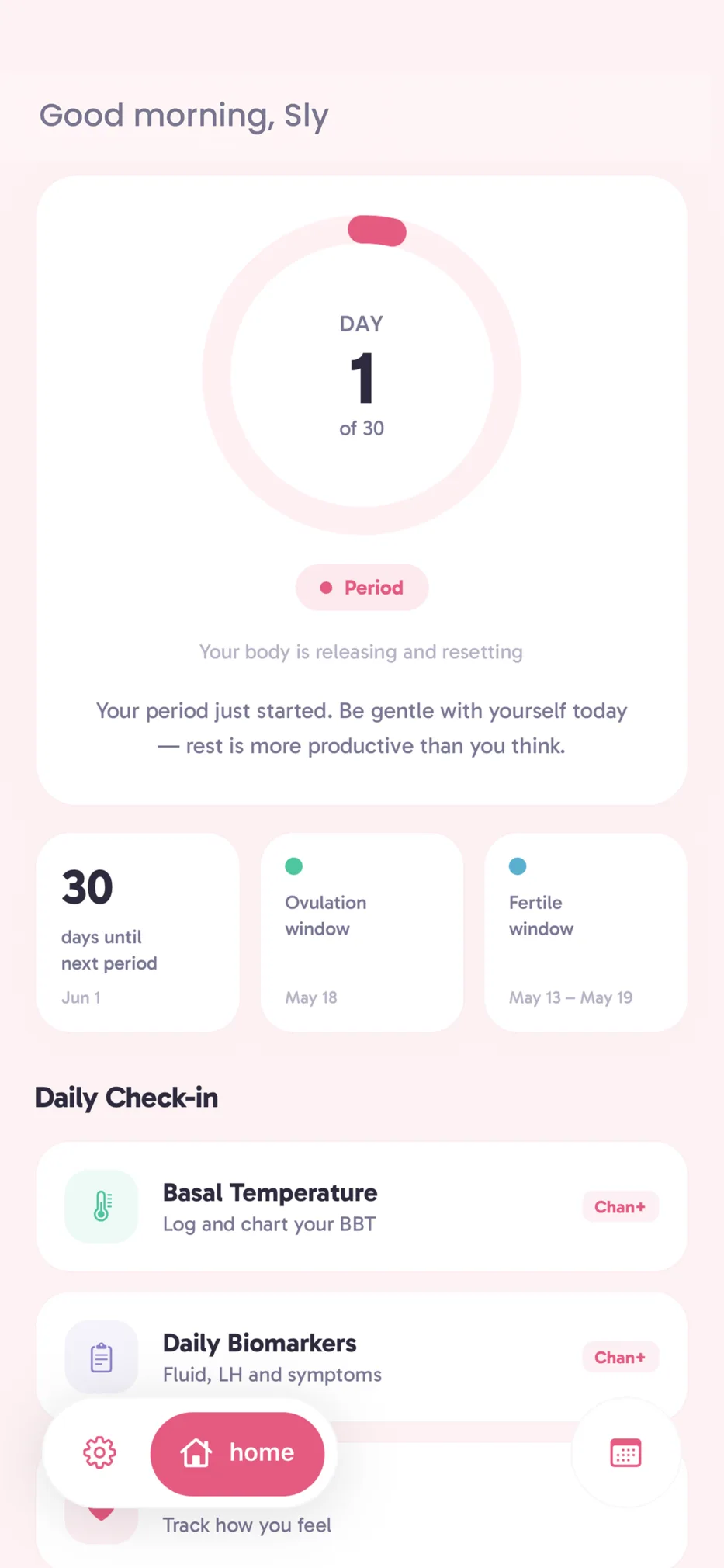Petal Chan home screen showing cycle and daily check-in tools